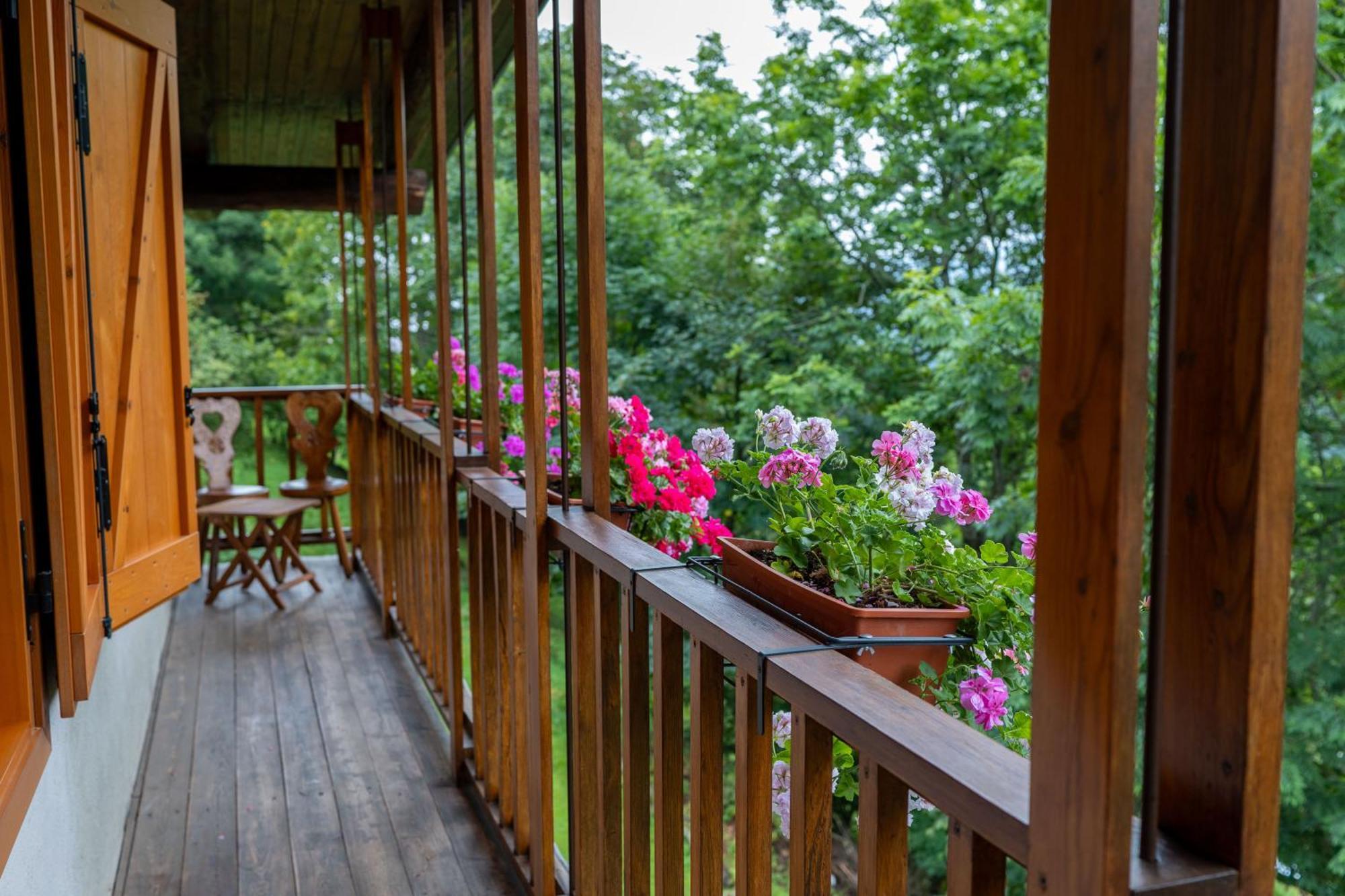 La Finestra Sul Monviso Apartment Crissolo Exterior photo